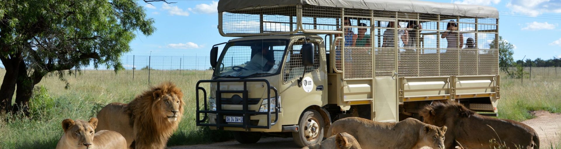 Lion & Safari Park Guided Tour